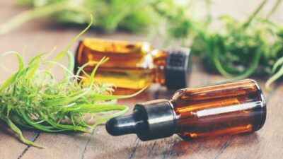 Ministério da Saúde reconhece importância de pesquisa e regulamentação da cannabis