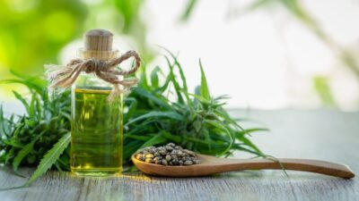 STJ autoriza pacientes a cultivar cannabis em casa