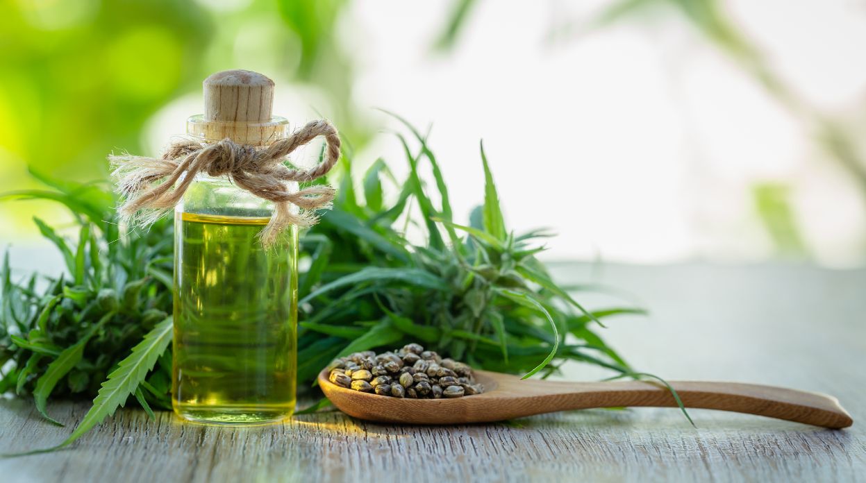 STJ autoriza pacientes a cultivar cannabis em casa