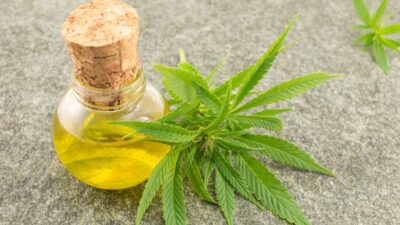 Lula mira parceria comercial com Colômbia para exportação de cannabis medicinal para o Brasil