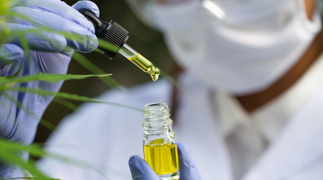 Debate na ALMG destaca uso medicinal da Cannabis e participação da UFLA