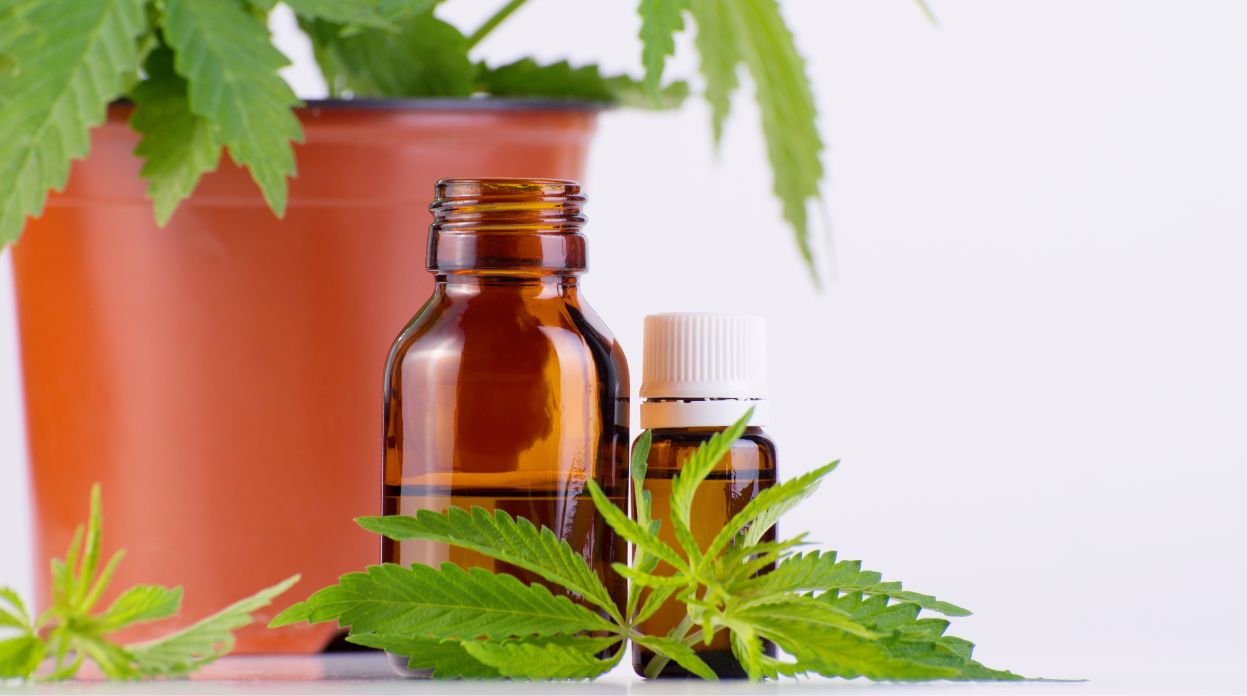 Farmacêutica e Anvisa trabalham na produção de novo medicamento canabinoide