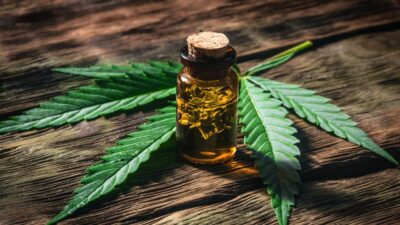 Mitos e verdades sobre cannabis medicinal e recreativa