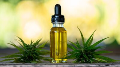 Balneário Camboriú aprova projeto de lei de distribuição de medicamentos com Canabidiol e THC