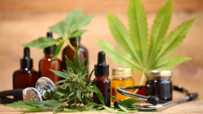Como SC virou referência no uso e plantio de Cannabis para tratamento médico