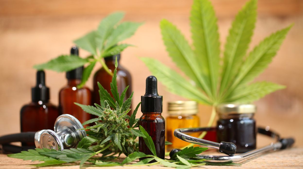 Como SC virou referência no uso e plantio de Cannabis para tratamento médico
