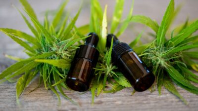 Governo Lula criará grupo para regulamentar plantio de cannabis medicinal