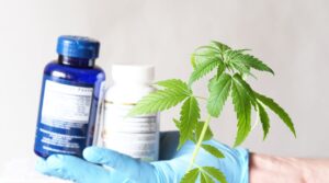 A eficácia da terapia canabinoide contra distúrbios digestivos