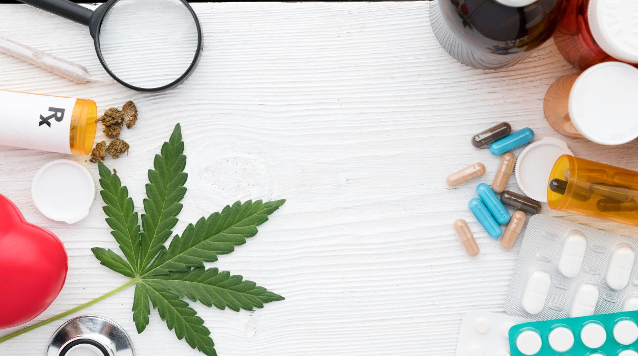 Cannabis e Alzheimer: combinação CBD e THC se mostra mais eficaz do que o uso isolado de cada composto