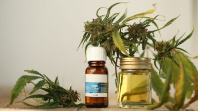 A saúde sistêmica começa pela boca: cannabis no combate a bactérias bucais