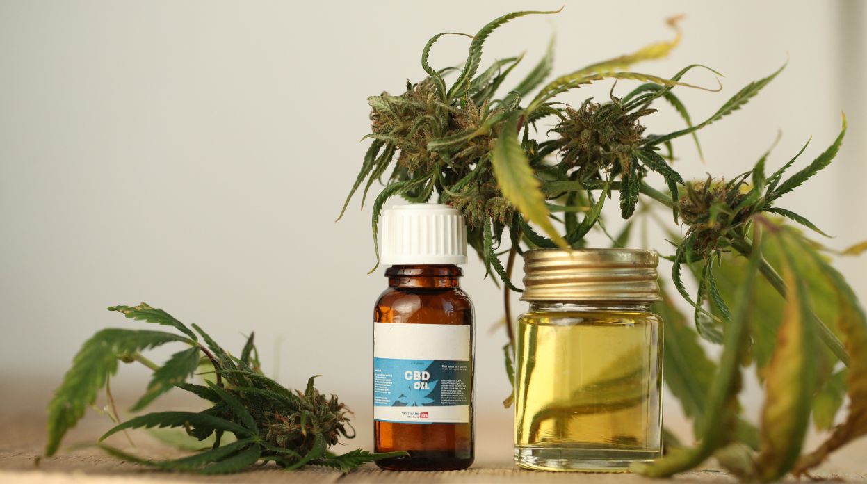 A saúde sistêmica começa pela boca: cannabis no combate a bactérias bucais