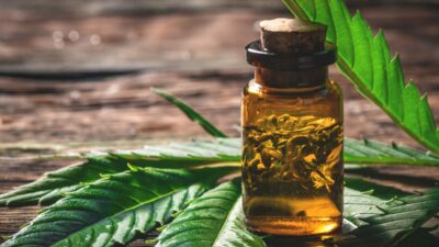 Câmara de Porto Seguro aprova projeto de lei para distribuição de cannabis no SUS