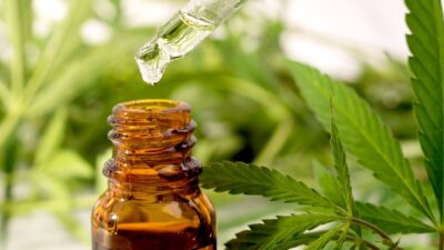 Extrato de cannabis apresenta potencial no tratamento do melanoma