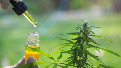 Minas Gerais discute a distribuição de produtos à base de Cannabis para uso medicinal pelo SUS