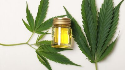 Regulamentação de produtos de Cannabis para fins medicinais entra na Agenda Regulatória 2024-2025 da Anvisa