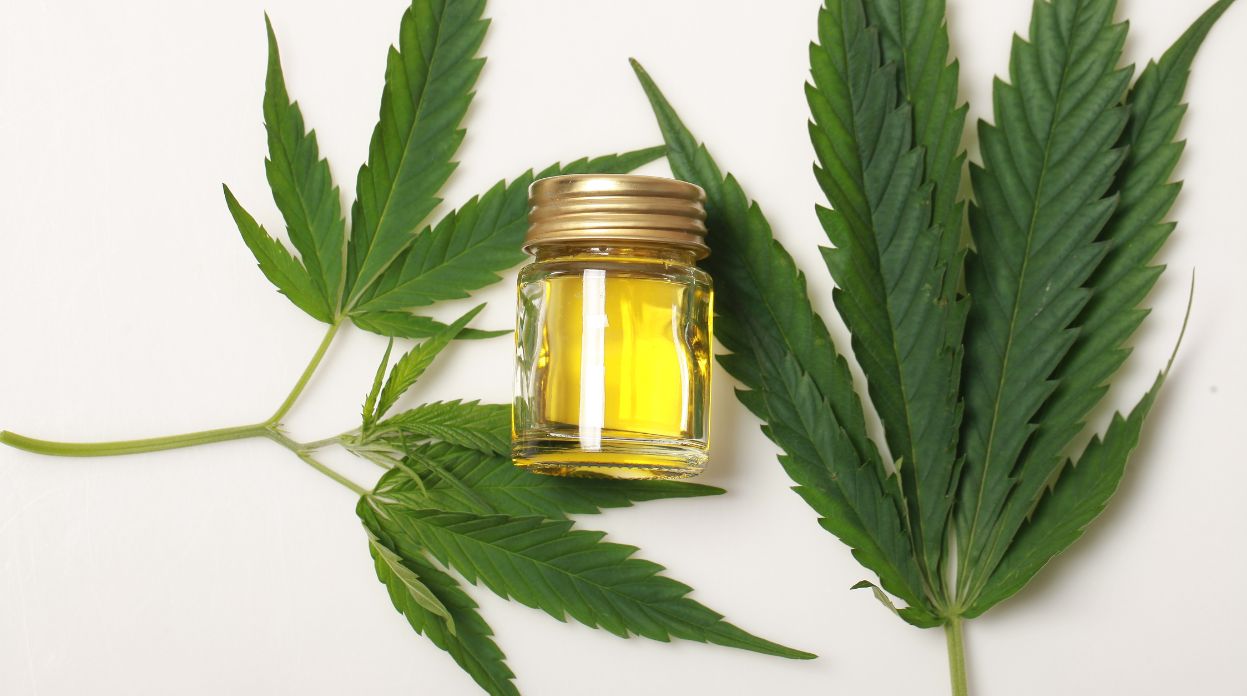 Regulamentação de produtos de Cannabis para fins medicinais entra na Agenda Regulatória 2024-2025 da Anvisa