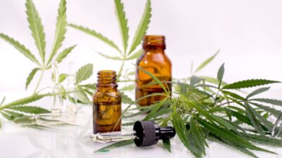 Santos aprova lei para fornecimento de cannabis medicinal no SUS