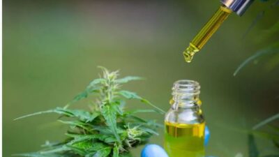medicina canabinoidel: saiba como planta é aliada em tratamentos de saúde