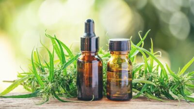 Cannabis Medicinal:  plano do governo pode ampliar acesso de pacientes pelo SUS