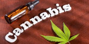 Acesso à cannabis medicinal: por que poucos estados brasileiros oferecem o tratamento?