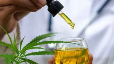 Cannabis fornecida judicialmente e via SUS: o que pacientes precisam saber