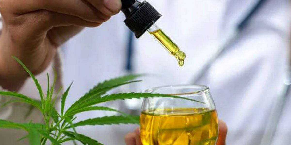 Cannabis fornecida judicialmente e via SUS: o que pacientes precisam saber