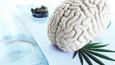 Cannabis medicinal e saúde mental: Benefícios para ansiedade e estresse