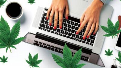 Panorama dos cursos de cannabis: formação em expansão