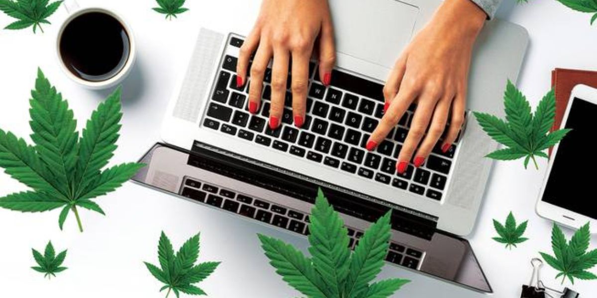 Panorama dos cursos de cannabis: formação em expansão
