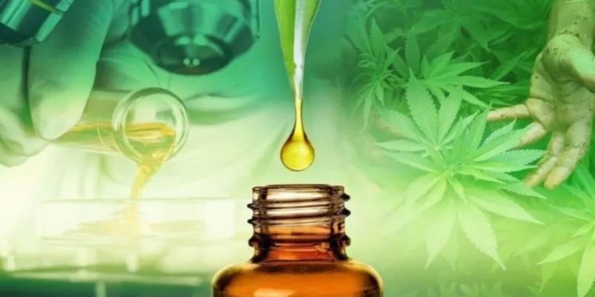 Uso humano e veterinário da cannabis medicinal: Dosagem e formulações