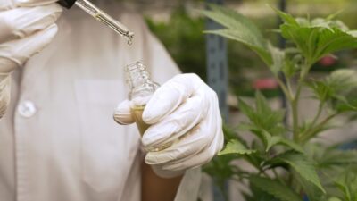 Pesquisas sobre cannabis medicinal avançam e fortalecem uso clínico com base científica