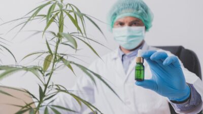 Mapa da cannabis revela nova fronteira genética para aplicações médicas precisas