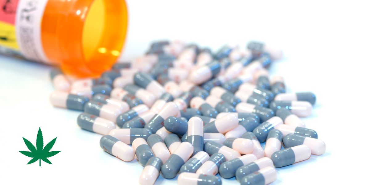 Nova fórmula do CBD supera antidepressivos convencionais em estudo pré-clínico