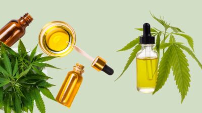 História da cannabis: uma jornada médico-científica através dos tempos