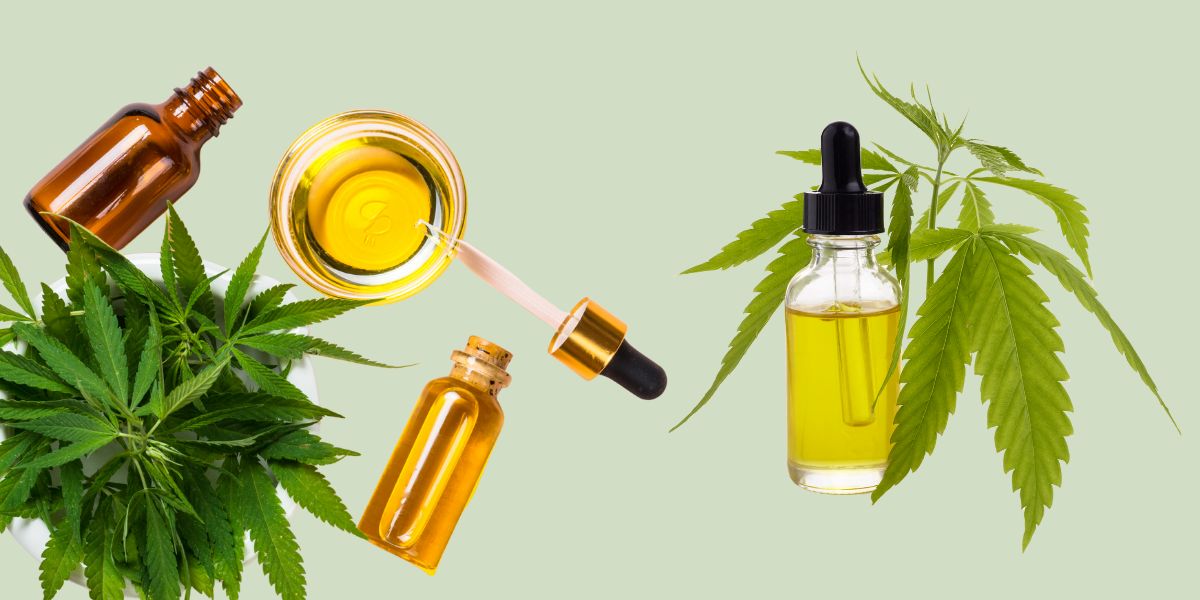 História da cannabis: uma jornada médico-científica através dos tempos