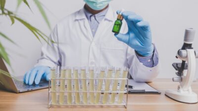 Embrapa estabelece parceria estratégica para estruturar setor de cannabis no Brasil
