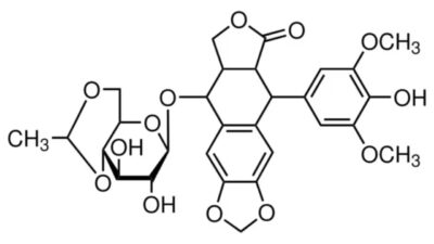 Etoposídeo e CBD: Potencialização Sinérgica na Eficácia Quimioterápica Contra o Câncer de Próstata